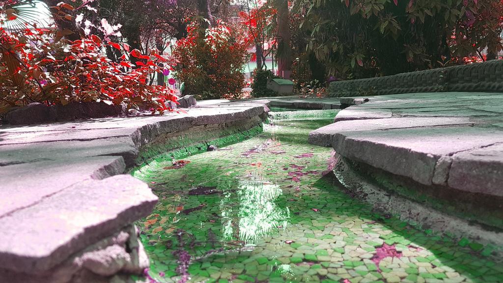 Terme Piave Hotel 3*