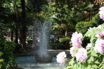 Hotel Terme Piave Abano Terme